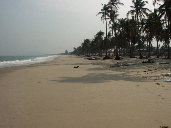 Pict0469.jpg