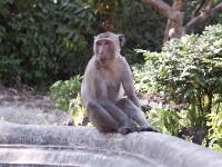 Pict0400.jpg