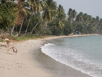 Pict0465.jpg