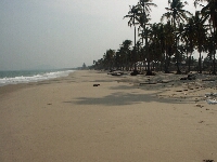 Pict0469.jpg