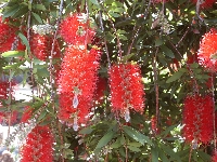 PICT0081.JPG