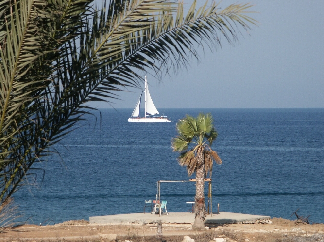 Zyprus0162.JPG