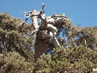 Zyprus0126.JPG
