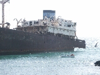 Lanz0023.JPG