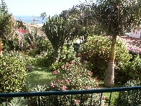 quin0011.JPG