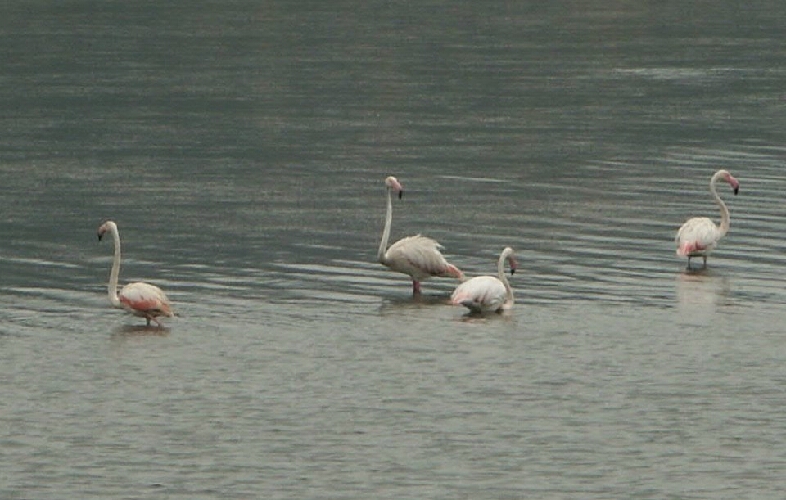 PICT0272.JPG