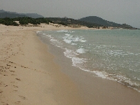 PICT0259.JPG