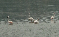 PICT0272.JPG