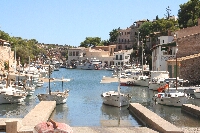 IMG_2393.JPG