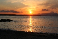 IMG_2448.JPG