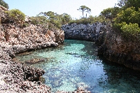 IMG_2487.JPG
