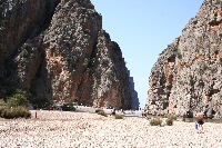 IMG_2536.JPG
