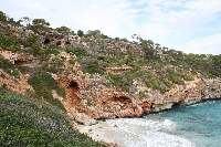 IMG_2578.JPG