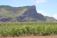 MAU_A0426.JPG