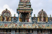 MAU_A0450.JPG