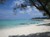 MAU_M0186.JPG