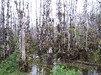 IMG_2547.JPG