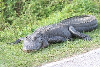 IMG_3214.JPG