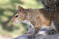 IMG_3348.JPG