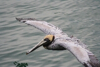 IMG_3366.JPG