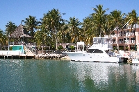 IMG_3381.JPG