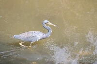 IMG_3576.JPG