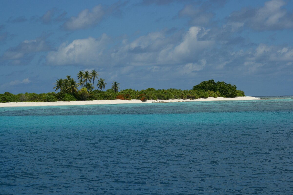 IMG_4863.JPG
