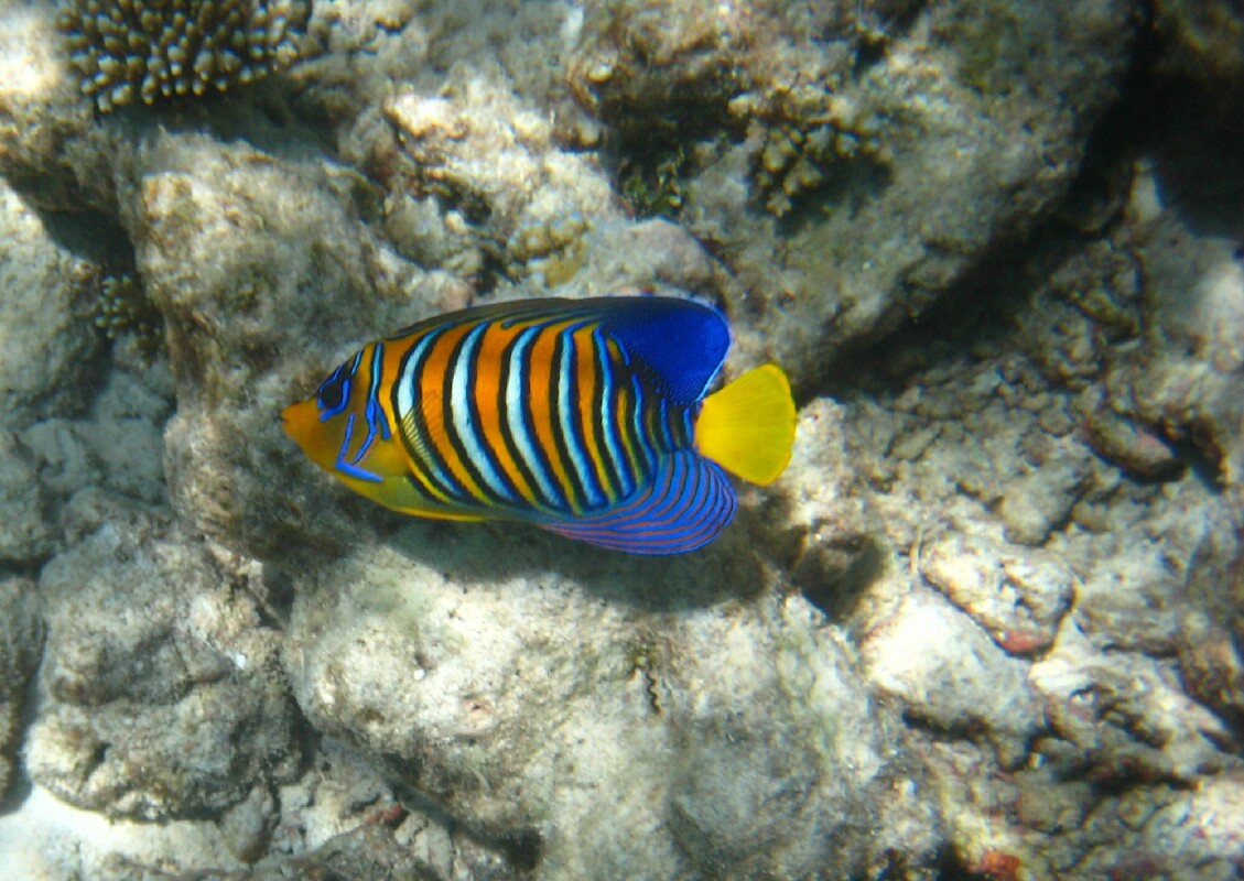 IMG_8894.JPG
