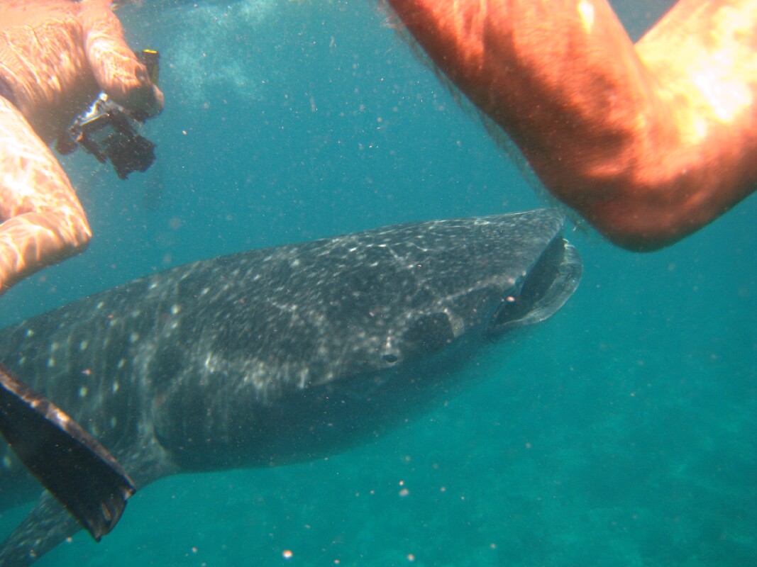 IMG_9663.JPG