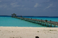 IMG_4233.JPG