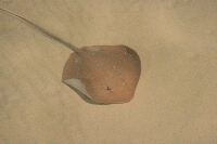 IMG_4472.JPG