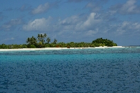 IMG_4863.JPG