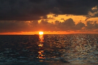 IMG_4977.JPG