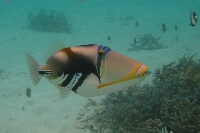 IMG_8424.JPG