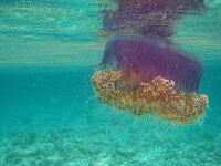 IMG_8802.JPG
