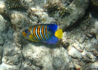 IMG_8894.JPG