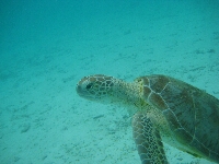 IMG_9175.JPG