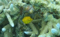 IMG_9211.JPG