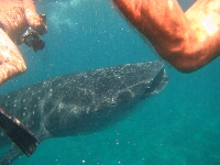 IMG_9663.JPG