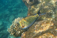 IMG_9815.JPG