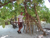 IMG_9961.JPG