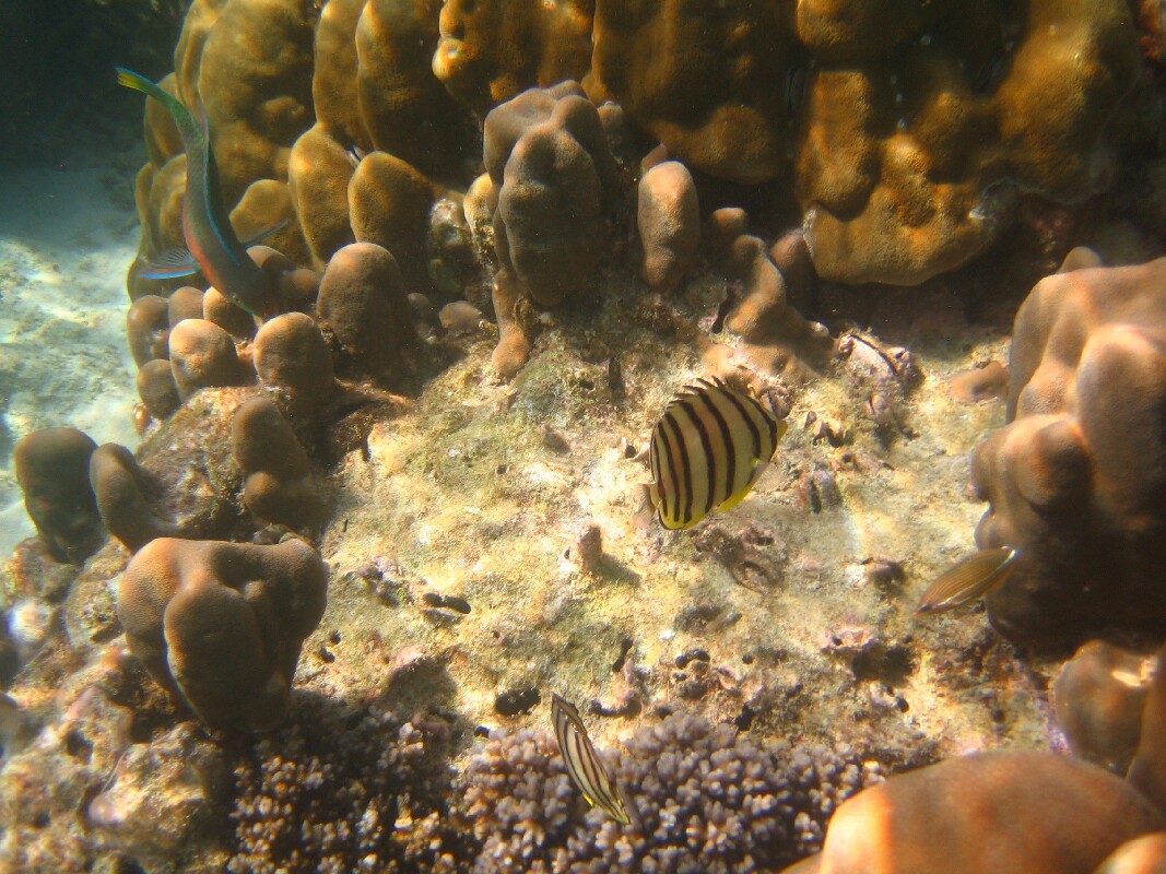 IMG_4320.JPG