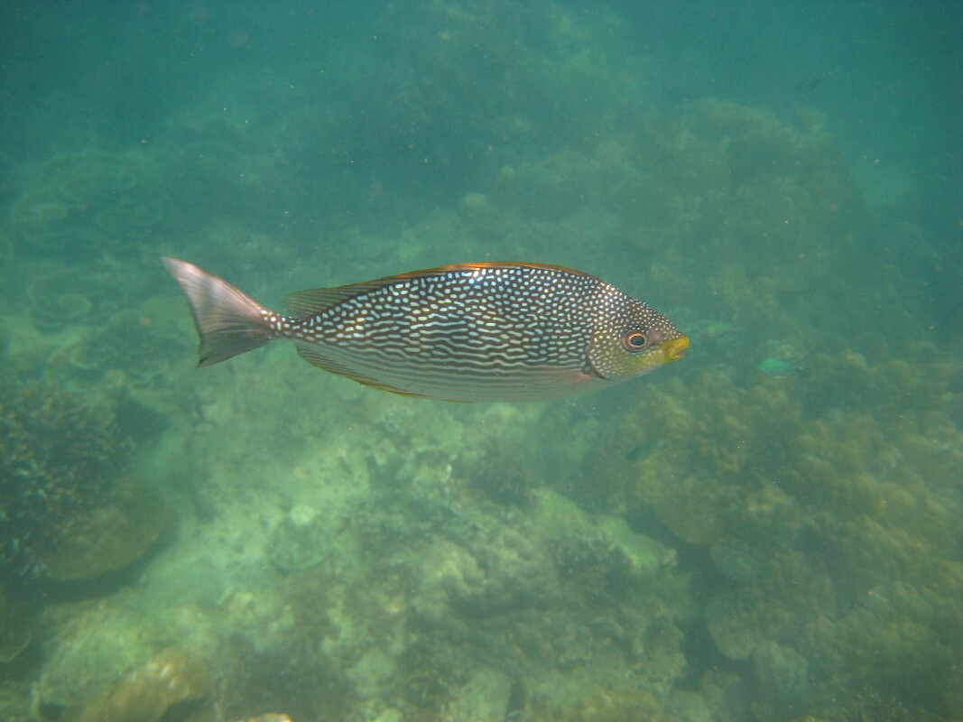 IMG_4842.JPG