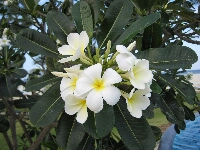 IMG_0020.JPG