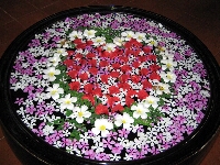 IMG_0030.JPG