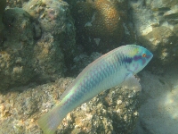 IMG_4170.JPG