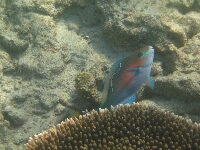 IMG_4173.JPG