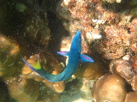 IMG_4290.JPG