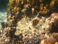 IMG_4320.JPG