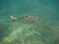 IMG_4842.JPG
